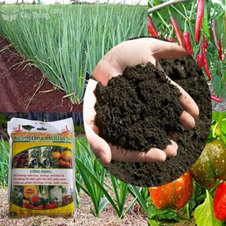 Nấm Đối Kháng Trichoderma Bacillus 1Kg
