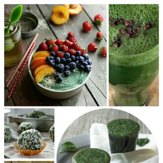 Tảo xoắn tươi nguyên chất SPIDANA
