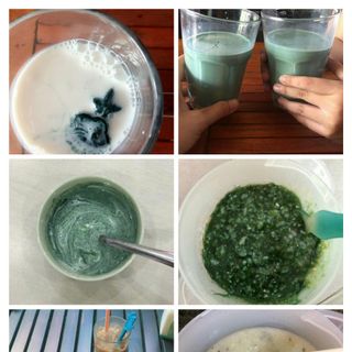 Tảo xoắn tươi nguyên chất SPIDANA
