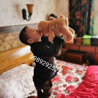 GẤU Ú ÒA - GẤU PEE A BOO - ĐỒ CHƠI CHO BÉ