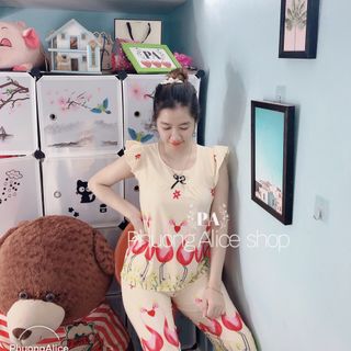 Đồ bộ Hạc