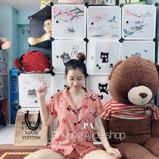 Đồ bộ
