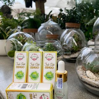 Tinh Dầu Trị Rạn SINGO - 100% Từ Thiên Nhiên