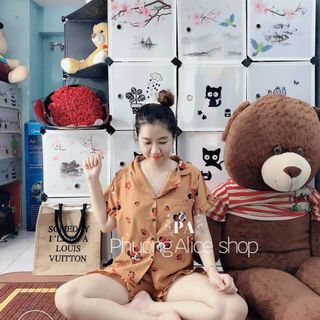 Đồ bộ