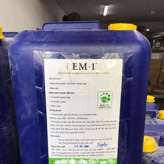 Men vi sinh EM Gốc