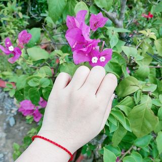 Kem Body Cốt Thái Trộn Kiểu Xưa Bao Xài 3-5 ngày mịn ko mướt Hoàn Tiền