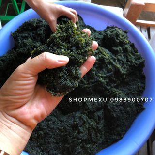Sỉ 50 gói rong tách nước An Phúc 100gr
