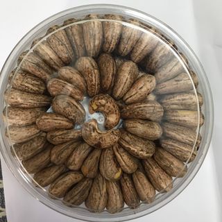 Hạt điều A cồ, Size lớn, khoảng 390 hạt/ Kg
