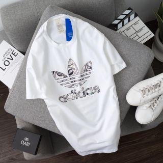 Áo thun Cotton T12