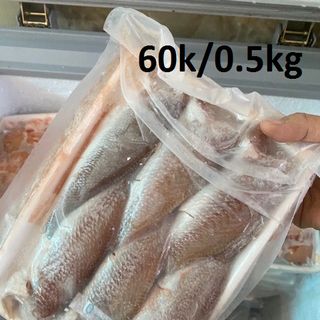 Cá đù 1 nắng