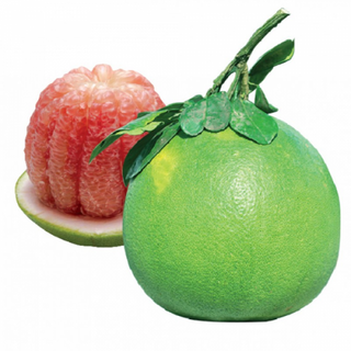 BƯỞI DA XANH