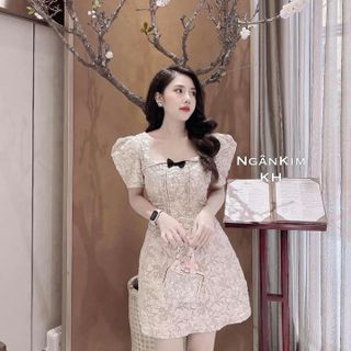 Đầm gấm bao đẹp