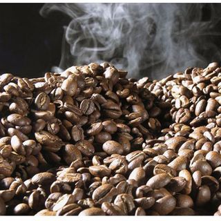 Nồi rang điện cà phê ngũ cốc đa năng mini Bar Well điều chỉnh nhệt độ