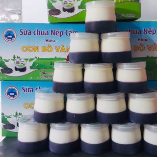 SỮA CHUA NẾP CẨM HIỆU CON BÒ VÀNG
