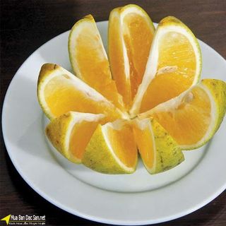 CAM MÁT SIÊU NGỌT