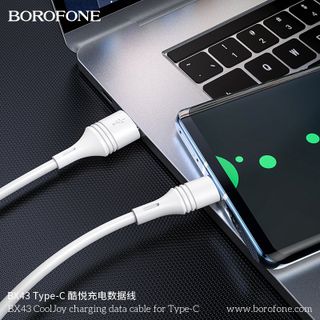 Cáp Sạc Truyền Dữ Liệu BOROFONE BX43 CoolJoy Cổng Type C