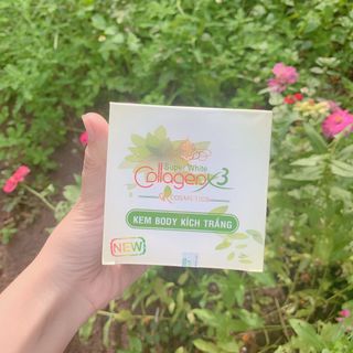 Body mềm nước hoa