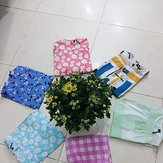 BỘ TOLE MÙA HÈ GIÁ SỈ