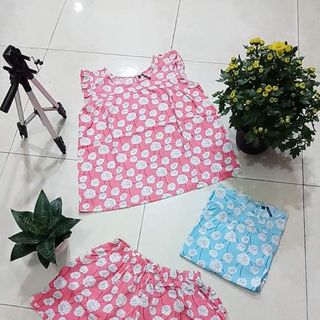 BỘ TOLE MÙA HÈ GIÁ SỈ