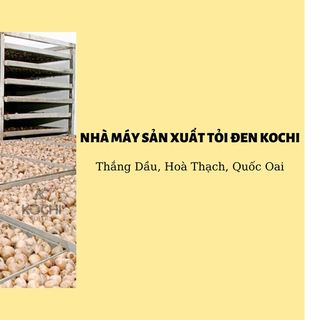 Tỏi đen cao cấp KOCHI hộp 250g