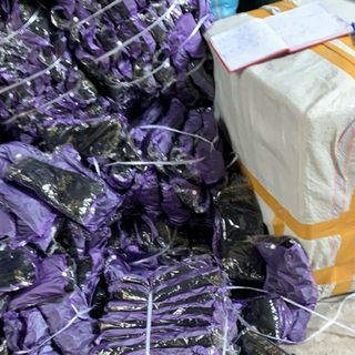 Quần lót lông vỏ tím