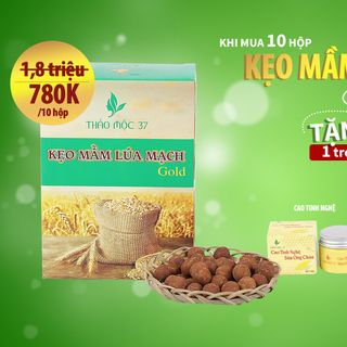 Combo 5 kẹo mầm nở ngực lúa mạch gold 37 -