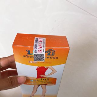 bachi cam vĩ giá sỉ