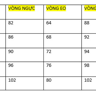BỘ TOLE MÙA HÈ LỬNG GIÁ SỈ- BO TOLE MÙA HÈ MẶT NHÀ CỰC MÁT GIÁ SỈ 75000