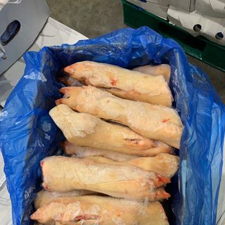 Dựng sau Heo nhập Ba Lan