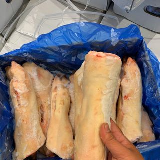 Dựng sau Heo nhập Ba Lan