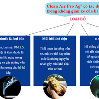 DUNG DỊCH SÁT KHUẨN HỮU CƠ SINH HỌC , XOÁ BAY CÁC LOẠI MÙI HÔI, LÀM SẠCH KHÔNG KHÍ. ĐEM LẠI MÔI TRƯỜNG TRONG LÀNH.