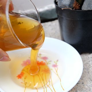 Sỉ Mật Ong Hoa Cà Phê