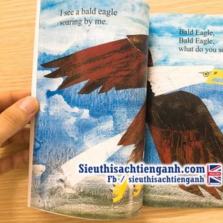 Bộ Brown bear, What do you see? set 4 cuốn + file nghe