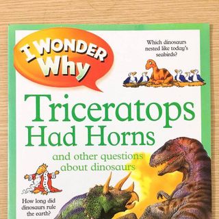 Bộ sách Em tự hỏi VÌ SAO – I wonder why- 10 cuốn A4+ file nghe