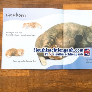 Bộ See how they grow -14 cuốn + file nghe