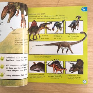 Thế giới Khủng long My Encyclopedia of Very Important Dinosaurs