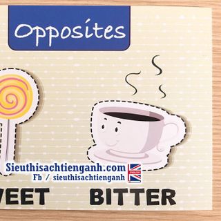 [Flashcards] Thẻ từ trái nghĩa- 100 thẻ- A5