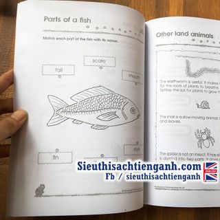 Bộ 300 Kindergarten trọn bộ 3 cuốn
