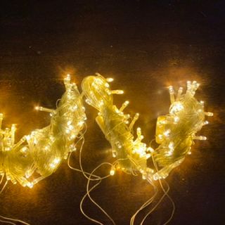 ( ) Dây Đèn Led 6 Mét 40 Bóng Đom Đóm Màu Vàng Nắng Chớp Nháy Và Đứng Yên, Xài Điện 220V