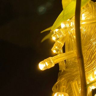 ( ) Dây Đèn Led 6 Mét 40 Bóng Đom Đóm Màu Vàng Nắng Chớp Nháy Và Đứng Yên, Xài Điện 220V