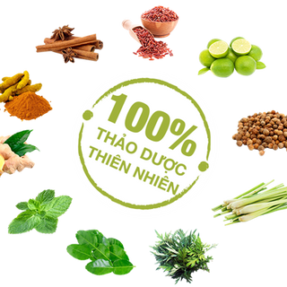 cai thuốc lá hiệu phổi xanh 1