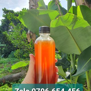 Mật ong rừng nguyên chất 100%