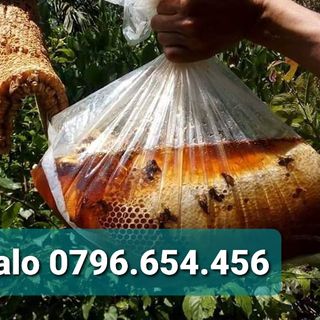 Mật ong rừng nguyên chất 100%