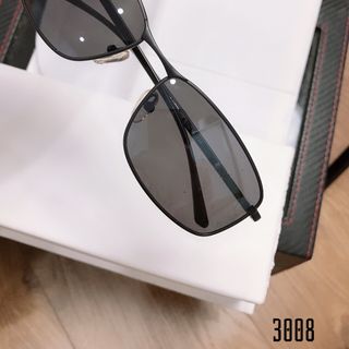 KÍNH NAM 3008