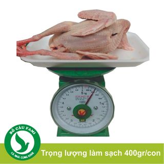 Thịt Bồ Câu Làm Sạch