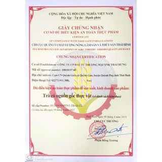 Trà Đinh Lăng Thái Hưng (trà thảo dược,100% tự nhiên, dạng túi)- tăng tuần hoàn não, giảm đau đầu, ngủ ngon