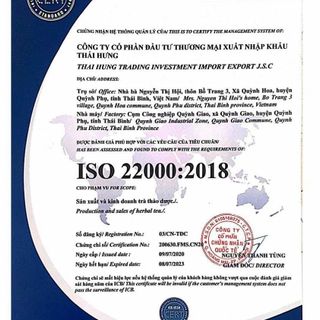 Trà Đinh Lăng Thái Hưng (trà thảo dược,100% tự nhiên, dạng túi)- tăng tuần hoàn não, giảm đau đầu, ngủ ngon