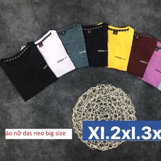 Áo nữ bigsize thể thao