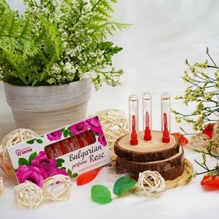 Nước hoa tinh dầu hoa hồng Bulgaria hộp 10 lọ 2.1ml mùi hương quyến rũ, quý phái