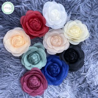 HOA CÀI ÁO 11 MÀU XANH, TRẮNG, ĐỎ, HỒNG
